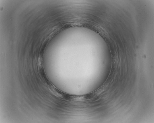 X0000076300081200609291046