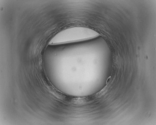 X0000076300082200609291046