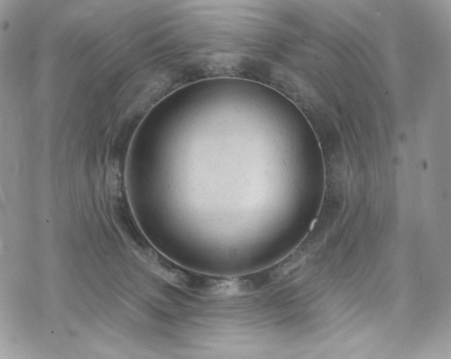 X0000076300083200609291046