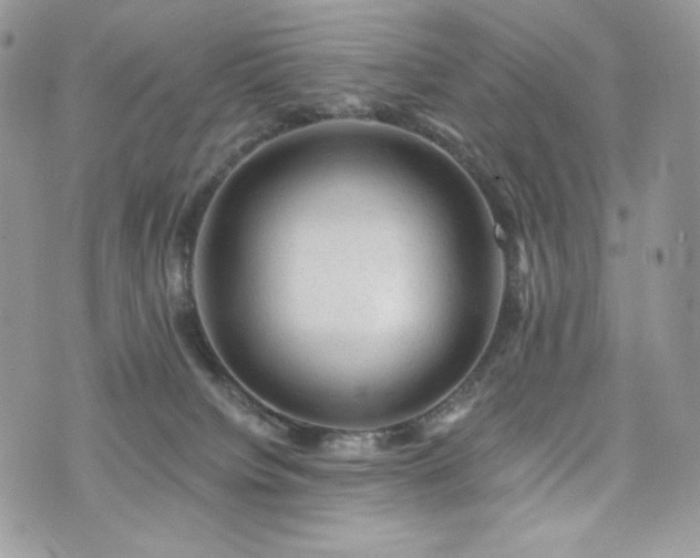 X0000076300084200609291046