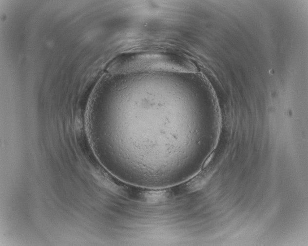 X0000076300085200609291046