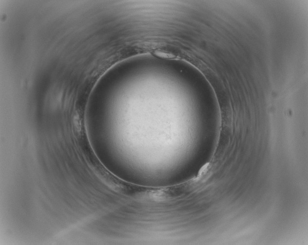 X0000076300086200609291046