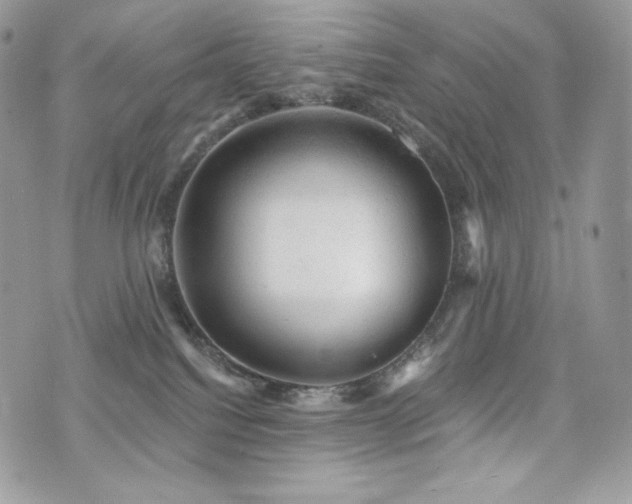 X0000076300088200609291046