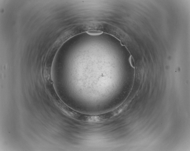 X0000076300091200609291046