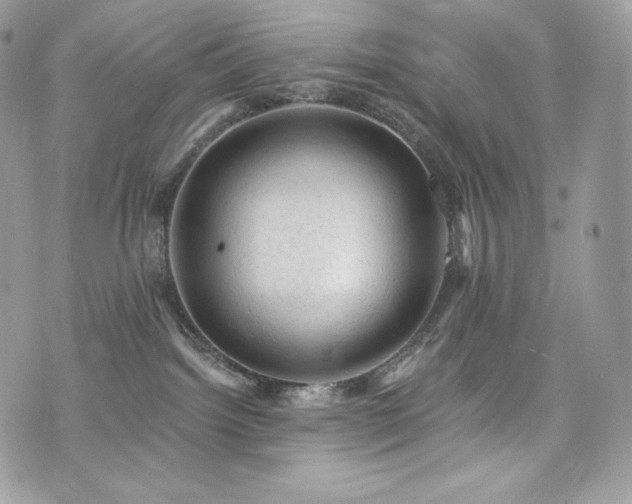 X0000076300092200609291046