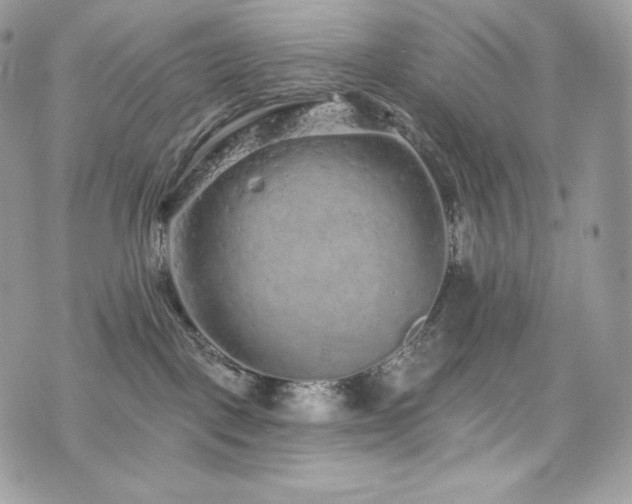 X0000076300093200609291046