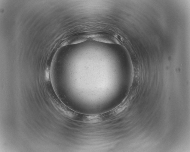 X0000076300095200609291046