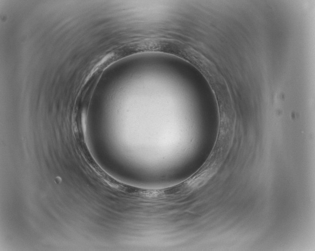 X0000076300096200609291046