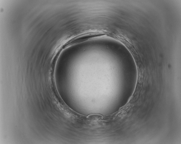 X0000076300098200609291046