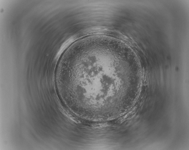 X0000076300099200609291046