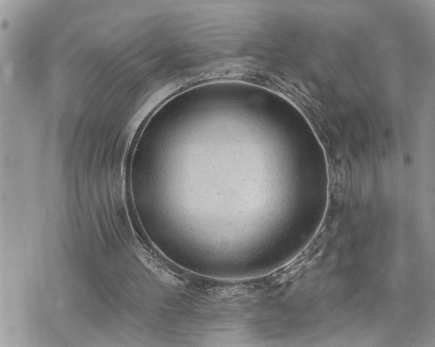 X0000076300100200609291046