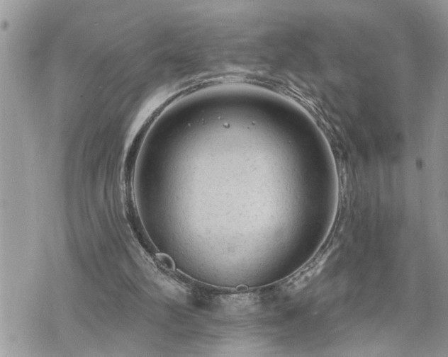 X0000076300102200609291046