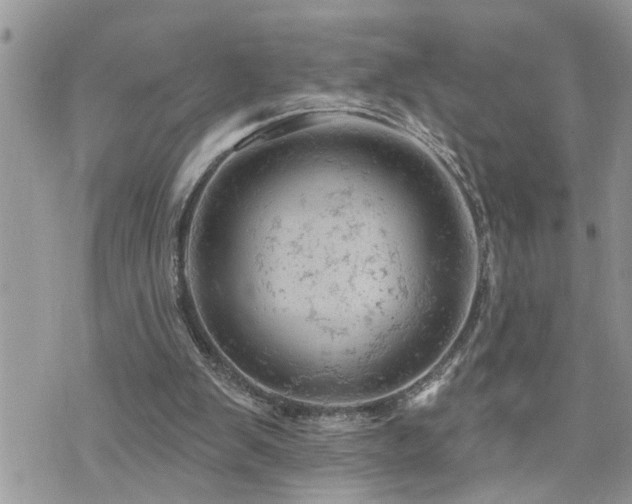 X0000076300103200609291046