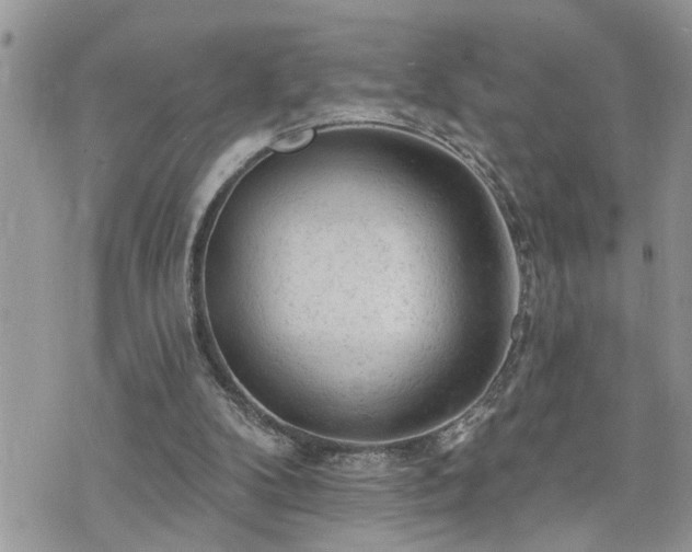 X0000076300104200609291046