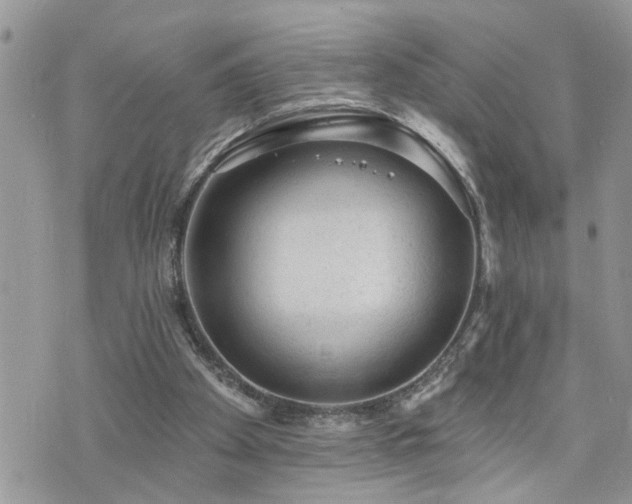 X0000076300105200609291046