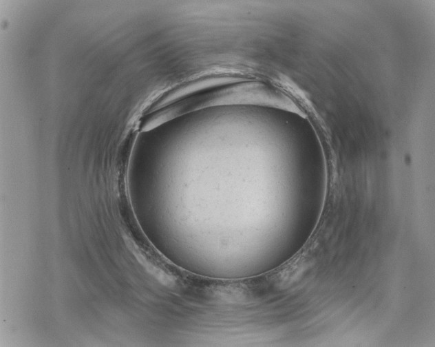 X0000076300106200609291046