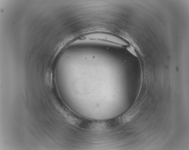 X0000076300110200609291045