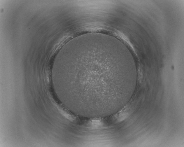 X0000076300114200609291045