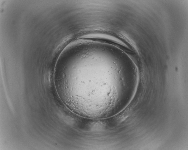 X0000076300115200609291045