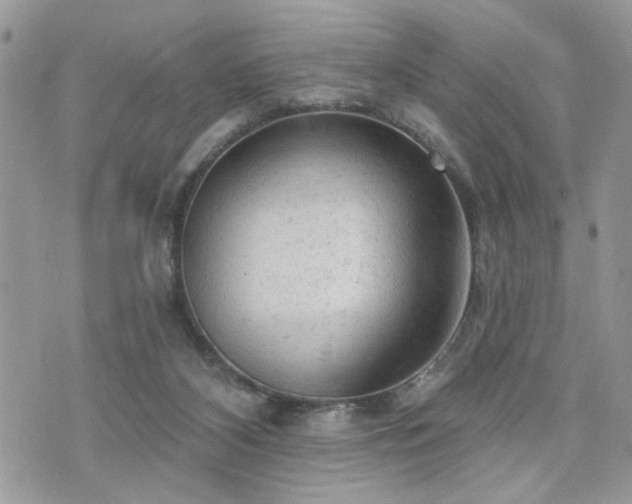 X0000076300116200609291045