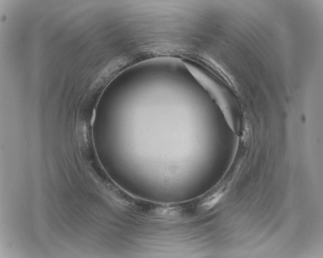 X0000076300117200609291045