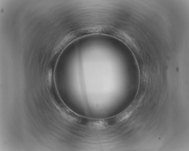 X0000076300118200609291045