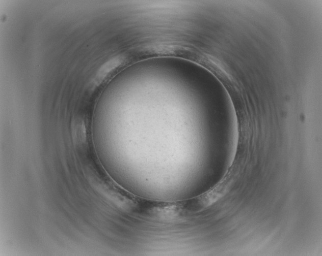 X0000076300120200609291045