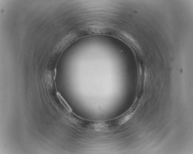 X0000076300121200609291045