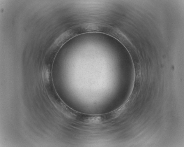 X0000076300124200609291045