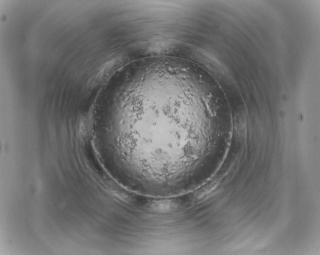 X0000076300127200609291045