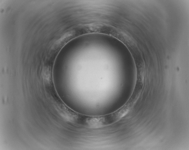 X0000076300129200609291045