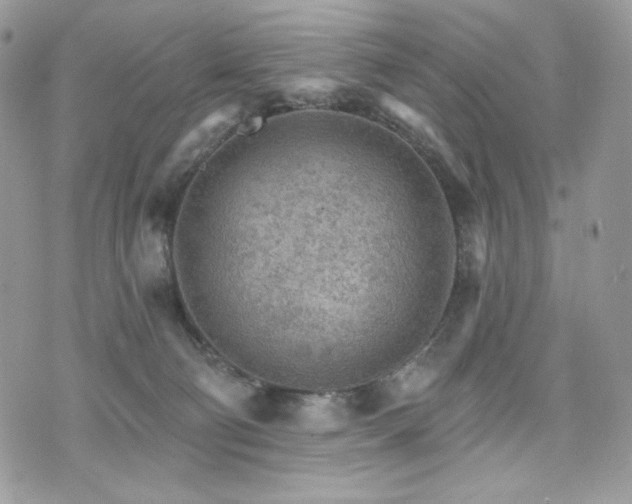 X0000076300130200609291045