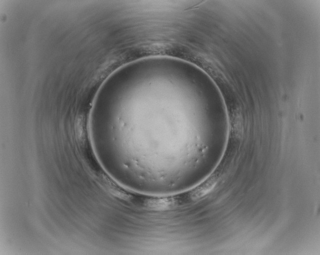 X0000076300131200609291045