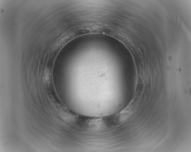 X0000076300132200609291045