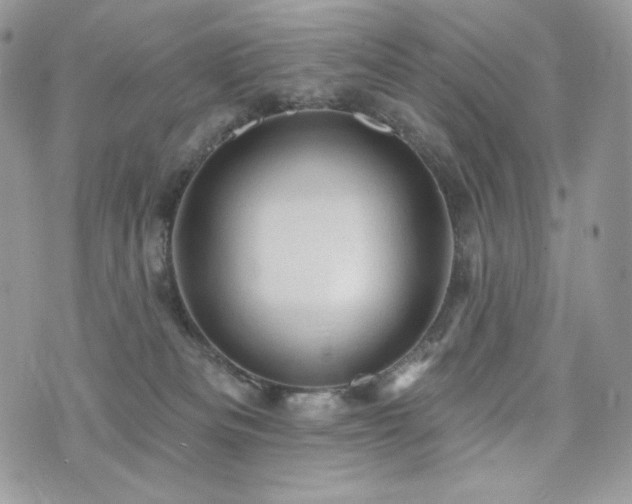 X0000076300133200609291045