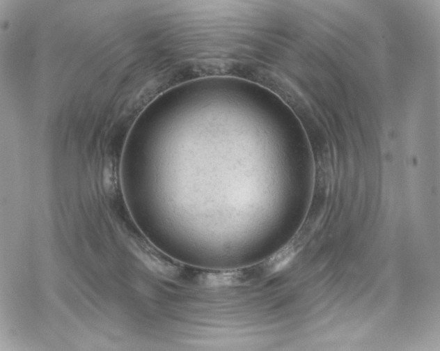 X0000076300134200609291045