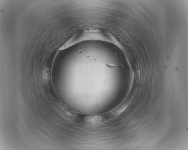 X0000076300135200609291045