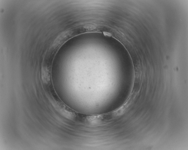 X0000076300136200609291045