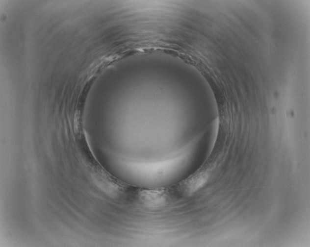 X0000076300139200609291045