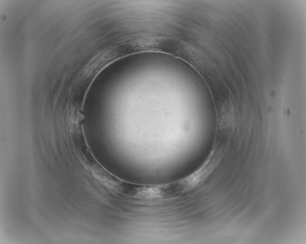 X0000076300140200609291045