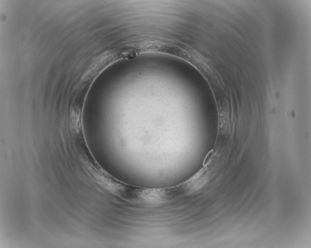 X0000076300142200609291045