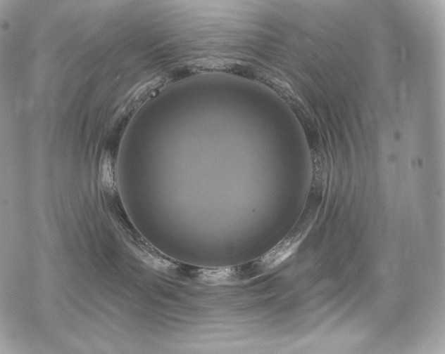 X0000076300143200609291045