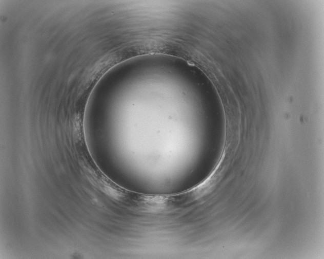 X0000076300144200609291045