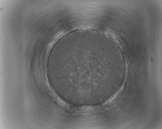 X0000076300145200609291044