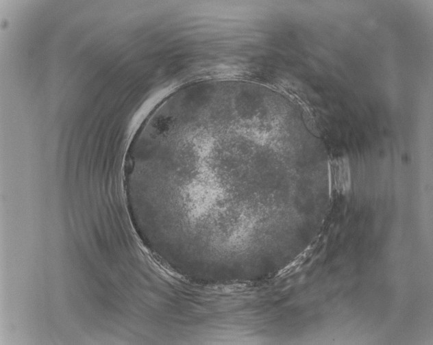 X0000076300147200609291044