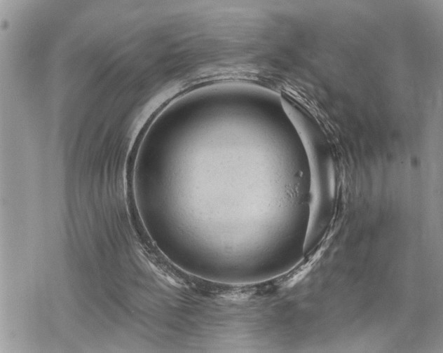 X0000076300148200609291044