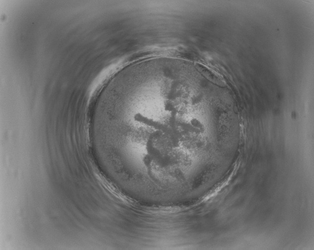 X0000076300149200609291044