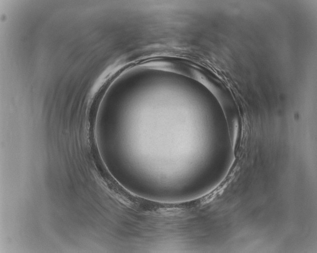 X0000076300150200609291044