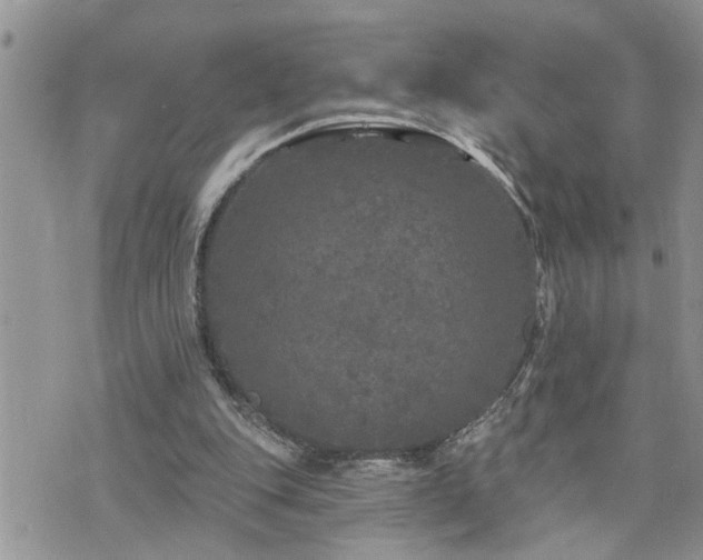 X0000076300151200609291044