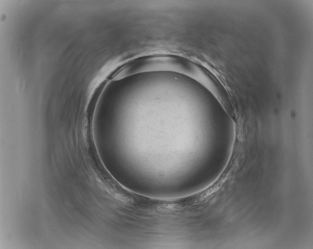 X0000076300152200609291044